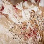 ちゃすの画像