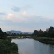 かつの画像