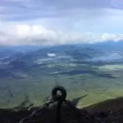 こはさん