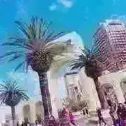 れもんの画像