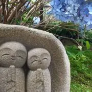 まりもの画像