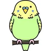 あこあこの画像
