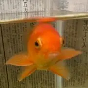 みつきの画像