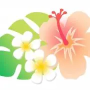 myumrcr