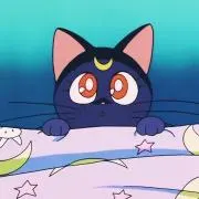 ひなこの画像