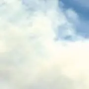 マサの画像