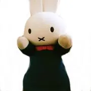 Sの画像