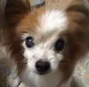 hiroの画像