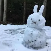 雪の画像