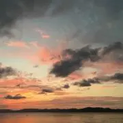 macaronの画像