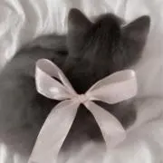 iの画像