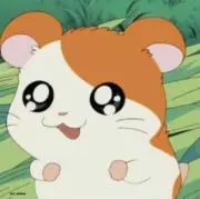あらディの画像