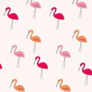 yskの画像