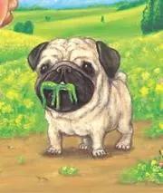 nawoの画像