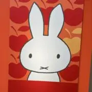 きちゃんの画像