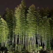 Riの画像