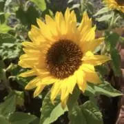 ⁑紙テープ重ね貼りするのは無知すぎる⁑の画像