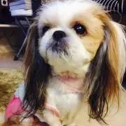 えつ