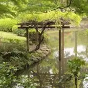 ルカの画像