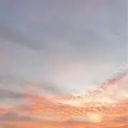 Cの画像