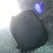 Kurockchanの画像