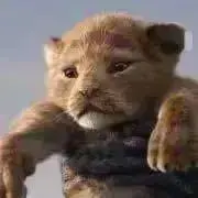 クレポポ♡発送土日のみとなりますの画像