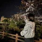 えいの画像