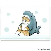 ＊コッチの家＊の画像