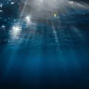 深い海の中の画像