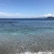 k.s プロフ確認！の画像