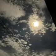 レギウスの画像
