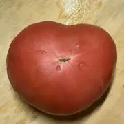 つなぎびとの画像