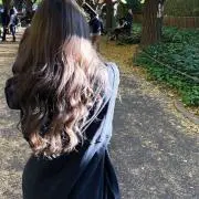 ナビ