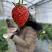 なるは