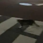 りの画像