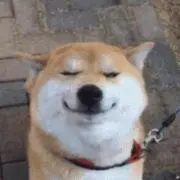 Saki