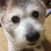 jun0823の画像