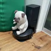 スーパーボールの画像