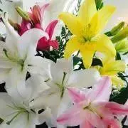 miii☆の画像