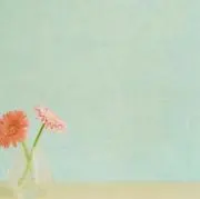 うさまるの画像