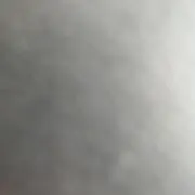 プリハムの画像