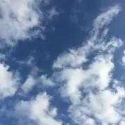 tsumutsumu❤︎の画像