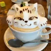 かよの画像