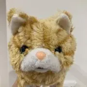 みの画像