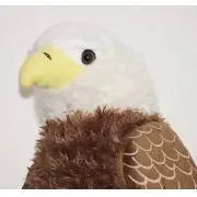WILDCATの画像