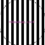 Monokuro_lifeの画像