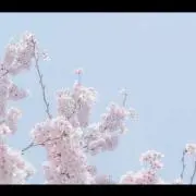 ゆんの画像