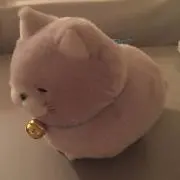 みーの画像