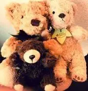 Teddyの画像