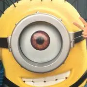 Rrの画像